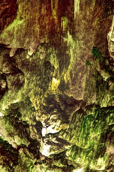 A 17B